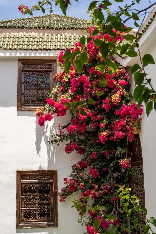 Riad Alma Marrakesh Ngoại thất bức ảnh