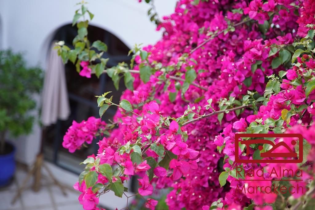Riad Alma Marrakesh Ngoại thất bức ảnh