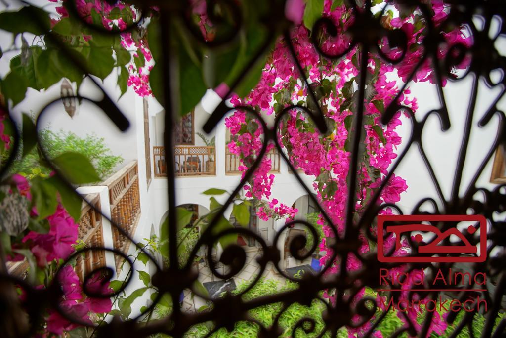 Riad Alma Marrakesh Ngoại thất bức ảnh